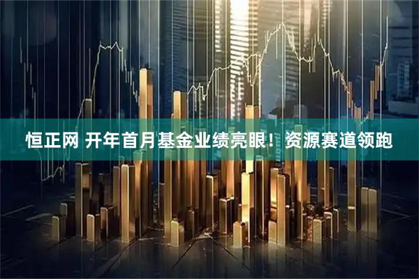 恒正网 开年首月基金业绩亮眼！资源赛道领跑
